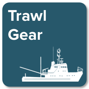 Trawl Gear