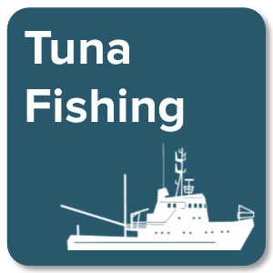 Tuna Fishing