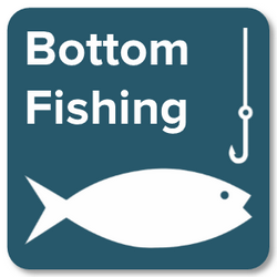 Bottom Fishing