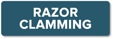 Razor Clamming