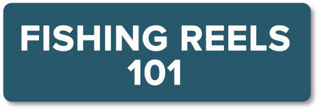 Reels 101