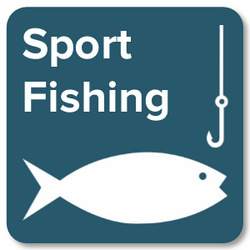 Sport Fishing