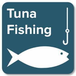 Tuna Fishing